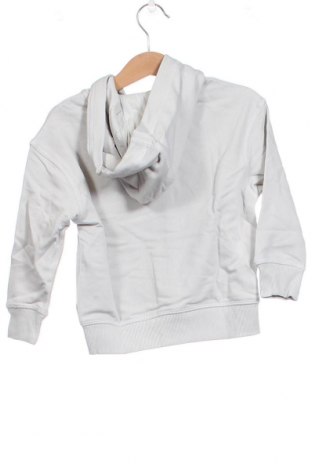 Kinder Sweatshirts Lupilu, Größe 2-3y/ 98-104 cm, Farbe Grau, Preis € 10,80