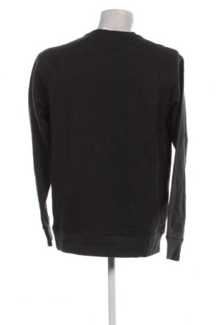 Ανδρική μπλούζα, Μέγεθος XL, Χρώμα Γκρί, Τιμή 11,75 €