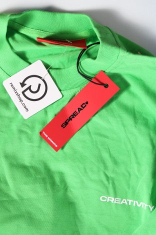 Herren Shirt, Größe M, Farbe Grün, Preis 11,86 €