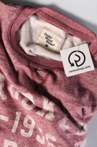 Ανδρική μπλούζα CedarWood State, Μέγεθος M, Χρώμα Ρόζ , Τιμή 5,88 €