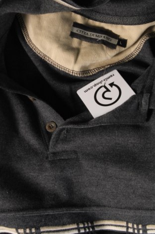 Ανδρική μπλούζα Citta Di Milano, Μέγεθος L, Χρώμα Γκρί, Τιμή 4,70 €