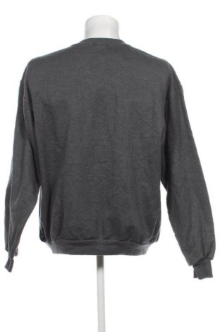 Ανδρική μπλούζα Jerzees, Μέγεθος XL, Χρώμα Γκρί, Τιμή 9,59 €