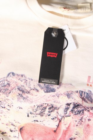 Herren Shirt Levi's, Größe XS, Farbe Ecru, Preis € 25,05