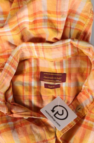 Herrenhemd Abercrombie & Fitch, Größe L, Farbe Mehrfarbig, Preis € 9,72
