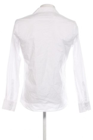 Herrenhemd Bertoni, Größe L, Farbe Weiß, Preis € 23,91