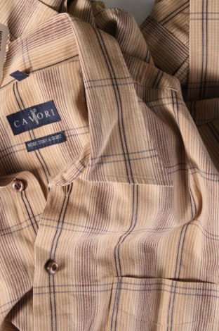 Ανδρικό πουκάμισο Cavori, Μέγεθος L, Χρώμα Πολύχρωμο, Τιμή 7,18 €