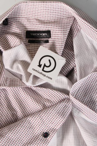 Ανδρικό πουκάμισο Teodor, Μέγεθος XL, Χρώμα Πολύχρωμο, Τιμή 9,91 €
