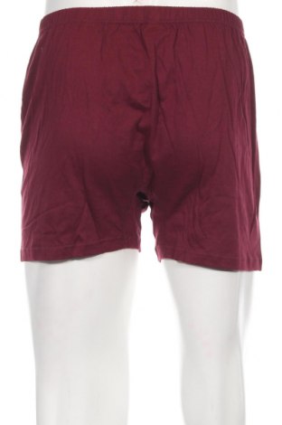 Boxershorts, Größe L, Farbe Rot, Preis € 7,89