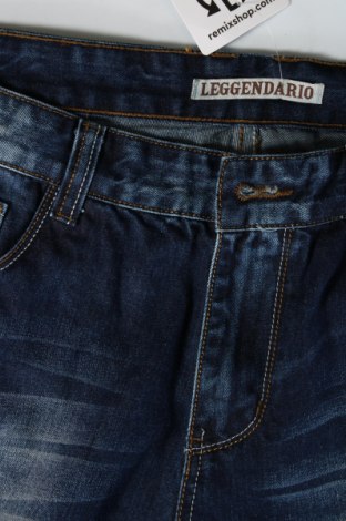Herren Jeans, Größe L, Farbe Blau, Preis 8,27 €