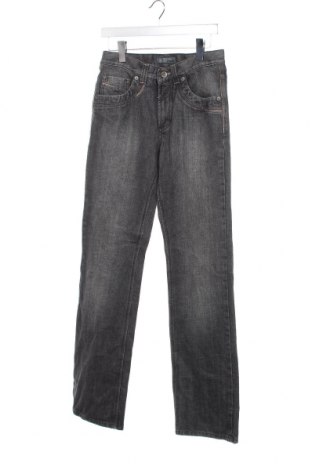 Herren Jeans Pioneer, Größe S, Farbe Grau, Preis 6,56 €