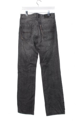 Herren Jeans Pioneer, Größe S, Farbe Grau, Preis 7,13 €