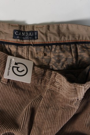 Herren Cordhose Canda, Größe M, Farbe Beige, Preis € 7,12