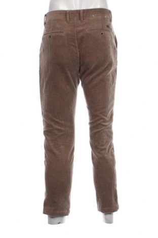 Мъжки джинси Canda, Размер M, Цвят Бежов, Цена 14,79 лв.