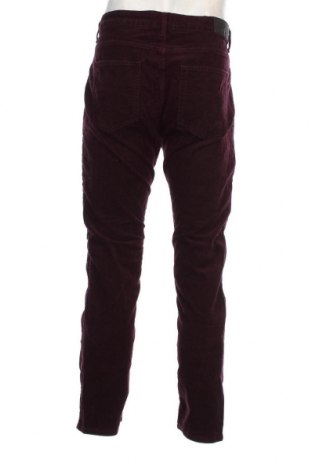 Ανδρικό κοτλέ παντελόνι Dressmann, Μέγεθος L, Χρώμα Βιολετί, Τιμή 3,80 €