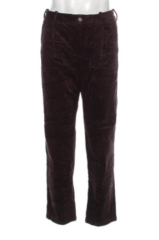 Herren Cordhose H&M, Größe L, Farbe Braun, Preis 20,49 €