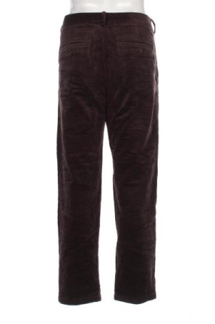 Herren Cordhose H&M, Größe L, Farbe Braun, Preis 10,49 €