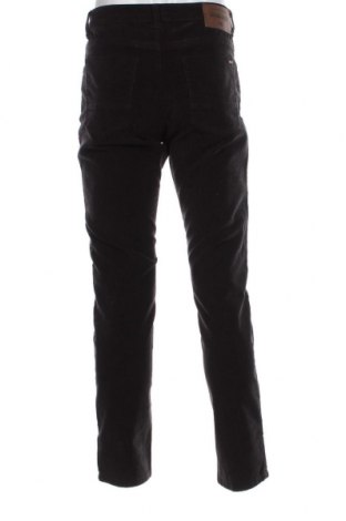 Herren Cordhose Napapijri, Größe M, Farbe Schwarz, Preis € 47,32