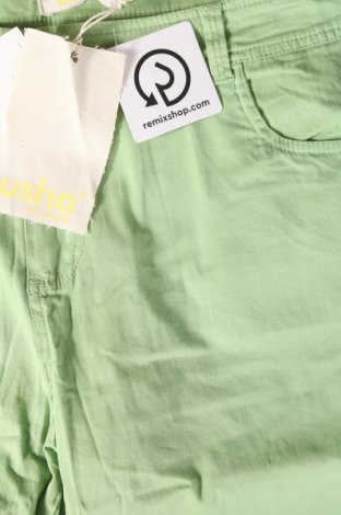 Herren Shorts Usha, Größe XL, Farbe Grün, Preis 54,35 €