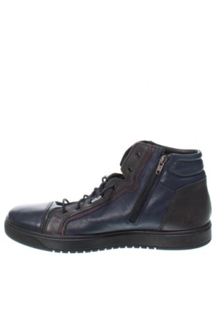 Ανδρικά παπούτσια Igi&Co, Μέγεθος 45, Χρώμα Μπλέ, Τιμή 56,41 €