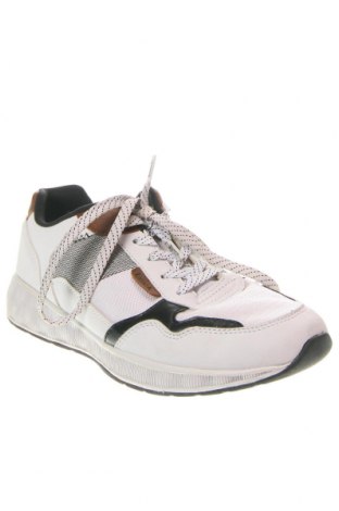 Ανδρικά παπούτσια Medicus, Μέγεθος 41, Χρώμα Πολύχρωμο, Τιμή 17,85 €