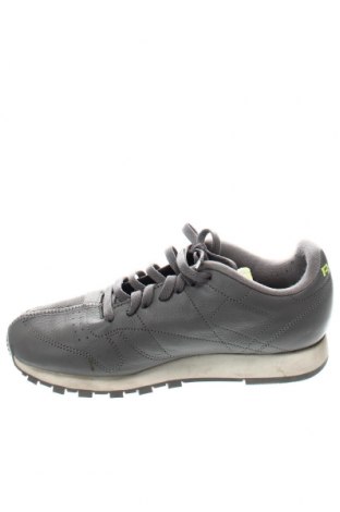 Pánske topánky Reebok, Veľkosť 41, Farba Sivá, Cena  40,37 €