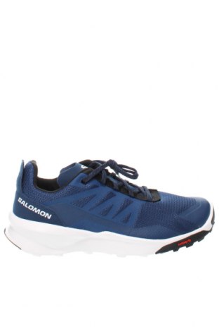 Herrenschuhe Salomon, Größe 44, Farbe Blau, Preis 112,37 €