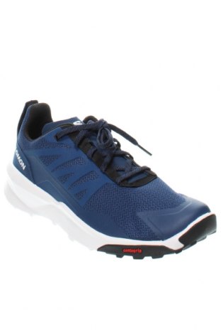 Herrenschuhe Salomon, Größe 44, Farbe Blau, Preis 112,37 €