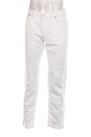 Ανδρικό παντελόνι, Μέγεθος L, Χρώμα Πολύχρωμο, Τιμή 11,21 €