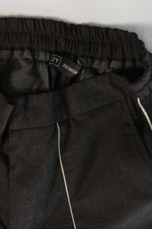 Ανδρικό παντελόνι 2Y, Μέγεθος S, Χρώμα Γκρί, Τιμή 5,38 €