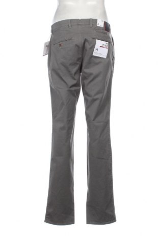Ανδρικό παντελόνι Brax, Μέγεθος L, Χρώμα Γκρί, Τιμή 18,76 €