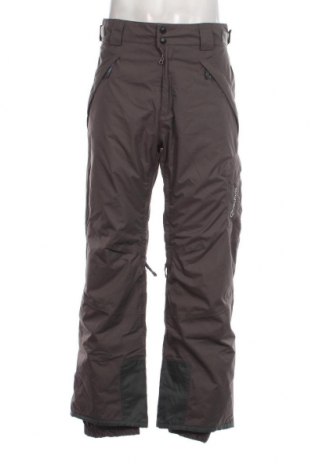 Ανδρικό παντελόνι για χειμερινά σπορ Quechua, Μέγεθος M, Χρώμα Γκρί, Τιμή 30,15 €