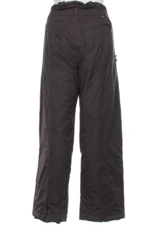 Мъжки панталон за зимни спортове Snowgear by TCM, Размер XL, Цвят Сив, Цена 14,50 лв.