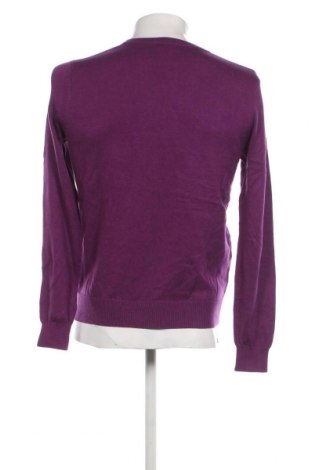 Herrenpullover Dressmann, Größe S, Farbe Lila, Preis 10,65 €