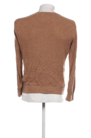 Herrenpullover Hollister, Größe S, Farbe Braun, Preis € 11,36