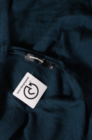 Ανδρικό πουλόβερ Wormland, Μέγεθος M, Χρώμα Μπλέ, Τιμή 21,03 €