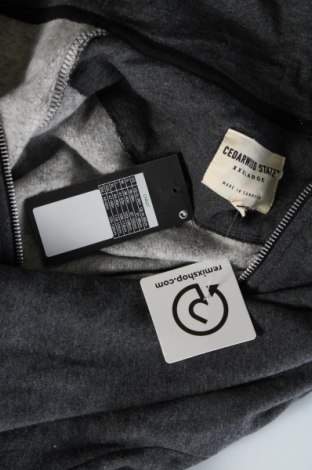 Herren Sweatshirt CedarWood State, Größe 3XL, Farbe Grau, Preis 25,61 €