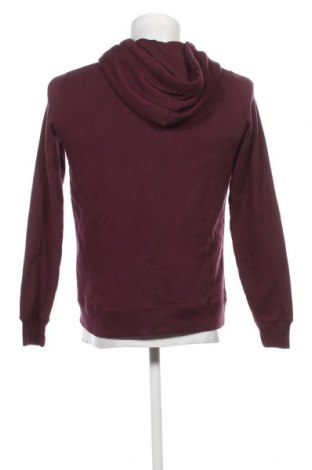 Herren Sweatshirt Hollister, Größe M, Farbe Rot, Preis € 64,72
