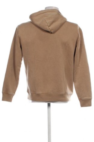 Herren Sweatshirt Hollister, Größe S, Farbe Braun, Preis € 11,51