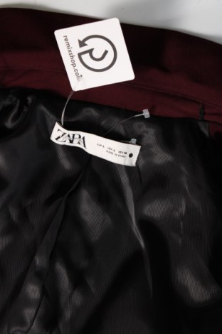 Herren Sakko Zara Man, Größe L, Farbe Rot, Preis € 14,35