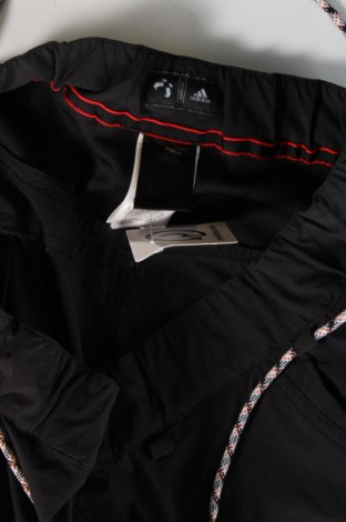 Herren Sporthose Adidas, Größe L, Farbe Schwarz, Preis 31,00 €