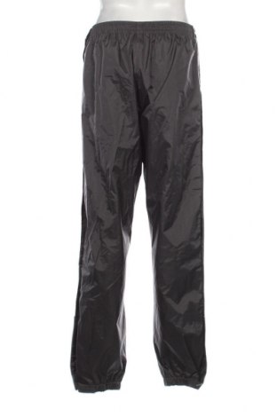 Ανδρικό αθλητικό παντελόνι Crane, Μέγεθος L, Χρώμα Γκρί, Τιμή 8,97 €