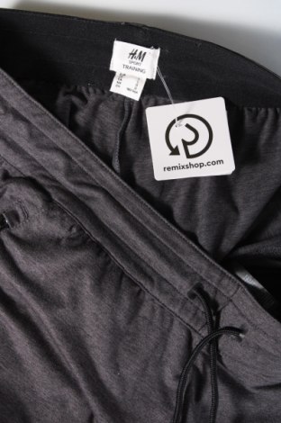 Ανδρικό αθλητικό παντελόνι H&M, Μέγεθος L, Χρώμα Γκρί, Τιμή 7,18 €