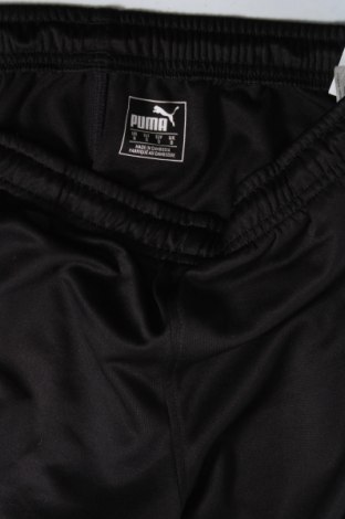 Herren Sporthose PUMA, Größe S, Farbe Schwarz, Preis € 24,25