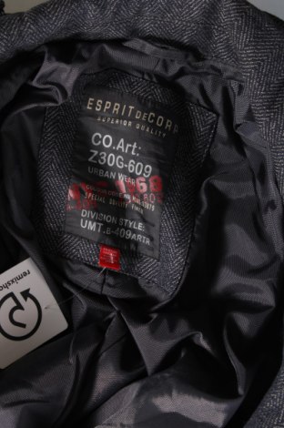 Ανδρικό μπουφάν Esprit, Μέγεθος L, Χρώμα Γκρί, Τιμή 16,82 €