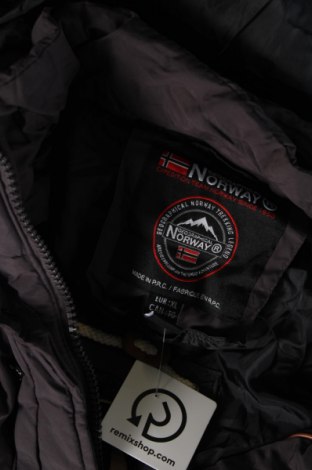 Męska kurtka Geographical Norway, Rozmiar XL, Kolor Szary, Cena 455,47 zł