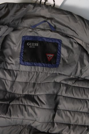 Herrenjacke Guess, Größe XS, Farbe Grau, Preis 23,52 €