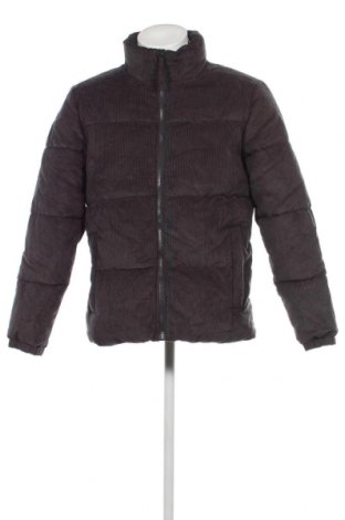 Herrenjacke Hollister, Größe M, Farbe Grau, Preis € 37,99