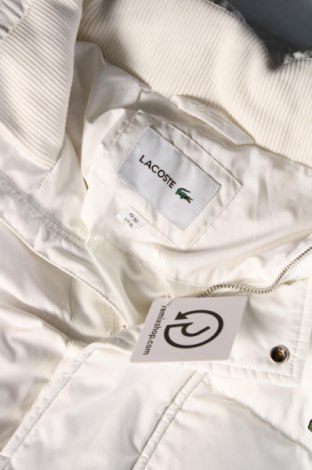 Ανδρικό μπουφάν Lacoste, Μέγεθος M, Χρώμα Λευκό, Τιμή 196,39 €