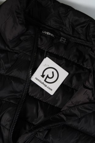 Ανδρικό μπουφάν Livergy, Μέγεθος XL, Χρώμα Μαύρο, Τιμή 14,85 €