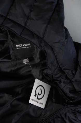 Ανδρικό μπουφάν Only & Sons, Μέγεθος M, Χρώμα Μπλέ, Τιμή 20,19 €